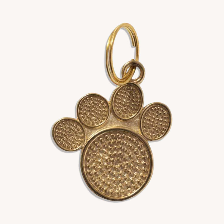 Moonglow Pet Tag in Gold